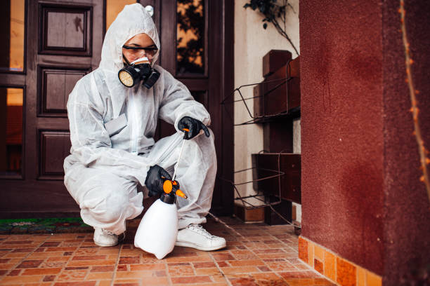 Reliable Wasp Removal contractor in National Harbor, MD by Show Me Pest Control