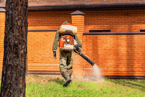 Top rated local Wasp Removal specialists in National Harbor, MD